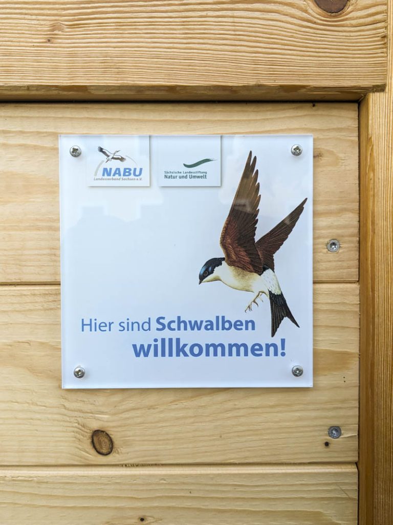 Hinterland Hostel Sächsische Schweiz Schwalben Willkommen Plakette Brutmöglichkeiten Nachhaltigkeit Naturschutz Scheune