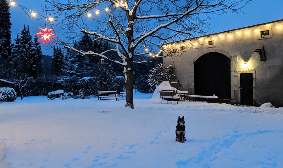 Hinterland Hostel im Winter Winterpause